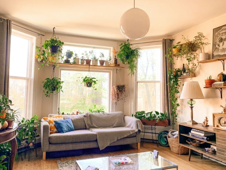 Moving to Nevada With Houseplants